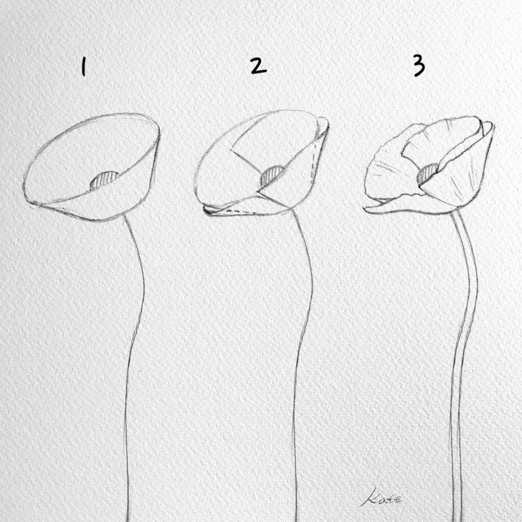 How to draw flowers | Easy flower drawings, Flower drawing tutorials