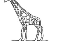 giraffe zum ausmalen