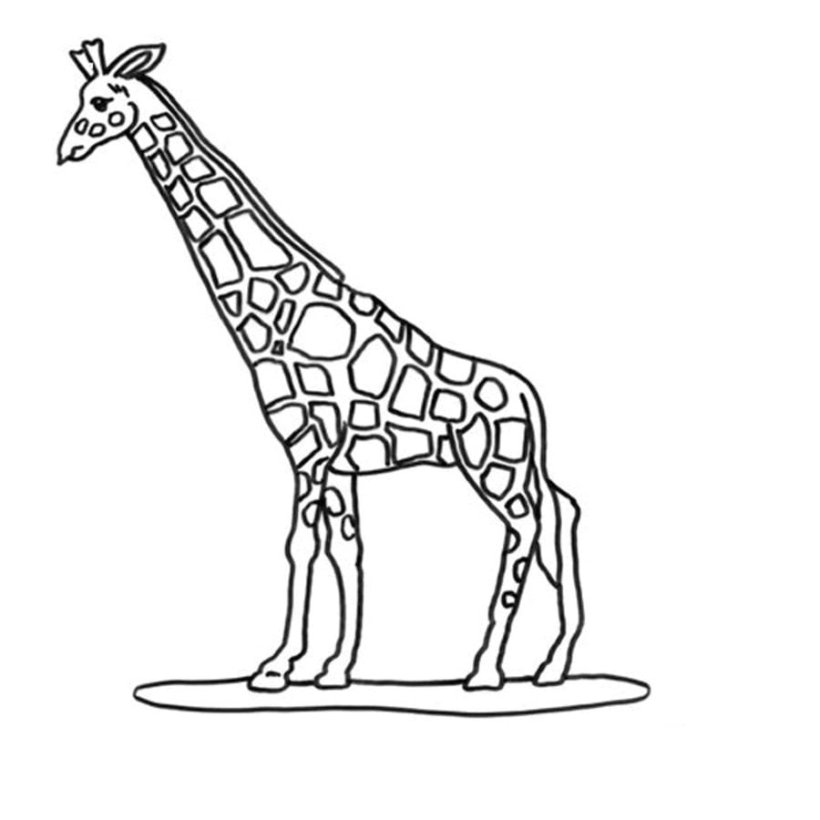 giraffe zum ausmalen