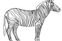 ausmalbilder zebra