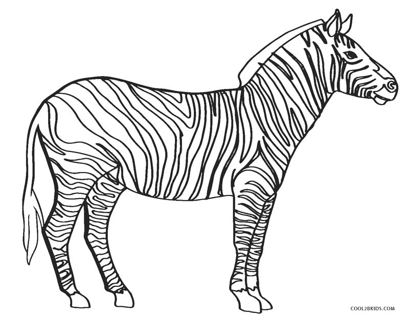 ausmalbilder zebra