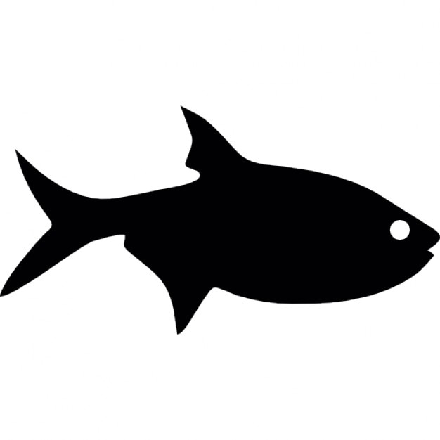 fisch silhouetten