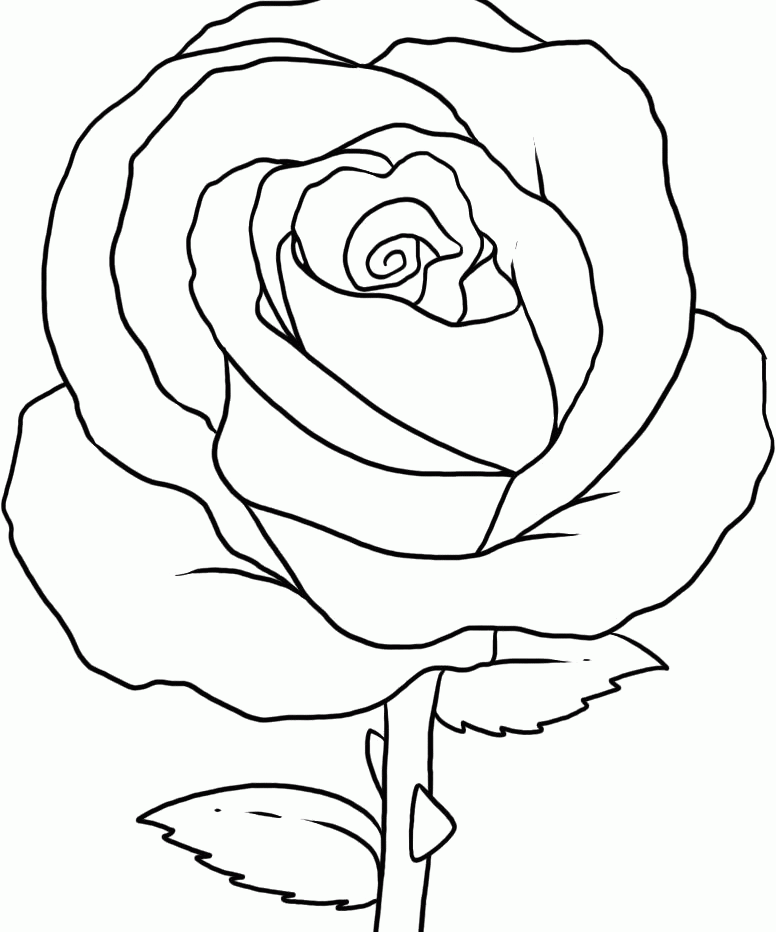 ausmalbild rose