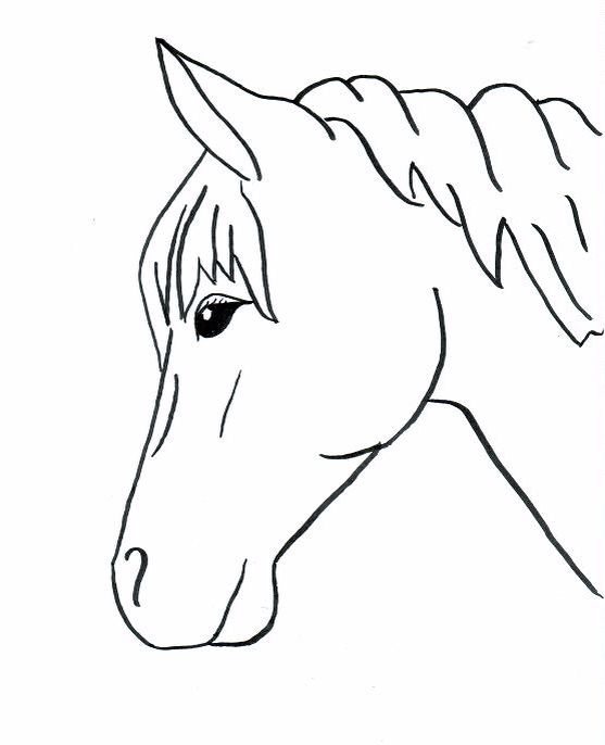 Horse drawing | Horse coloring pages, Easy horse drawing, Horse drawings