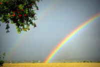 regenbogen bilder kostenlos