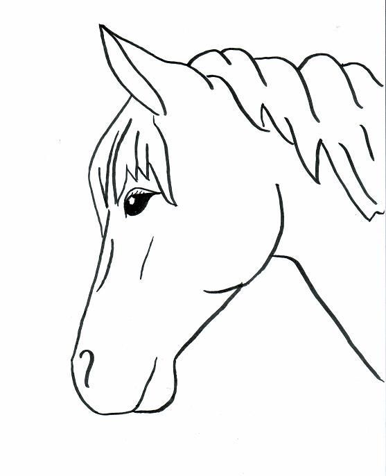 Huge collection of 'horses easy drawing'. download more than 40 | Horse