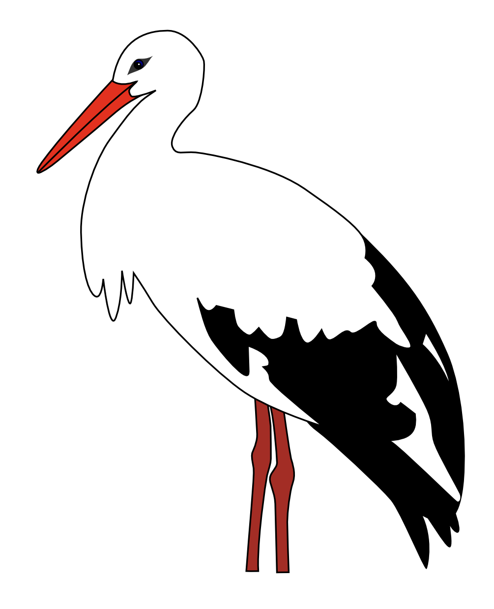 storch vorlage