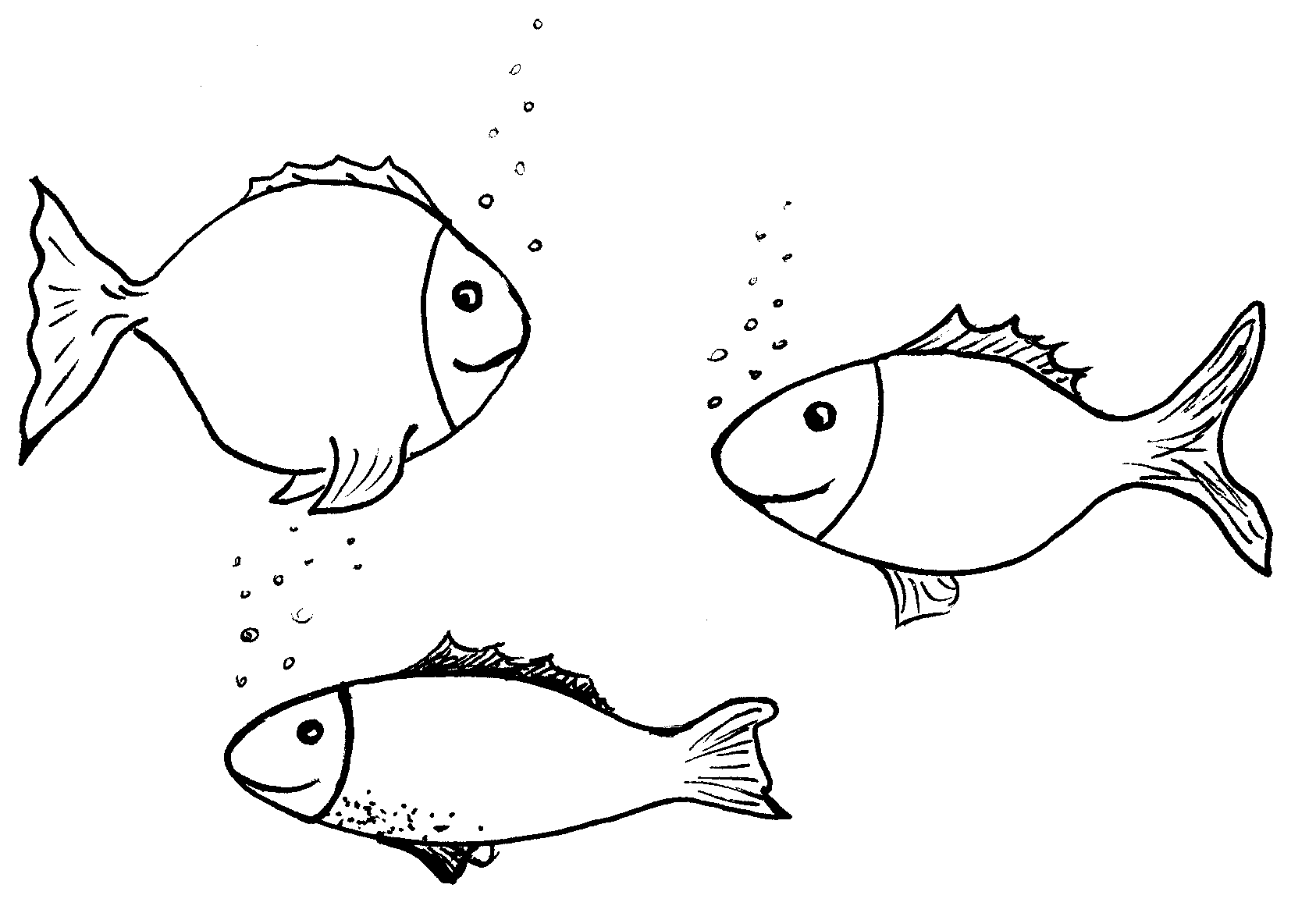 malvorlage fische