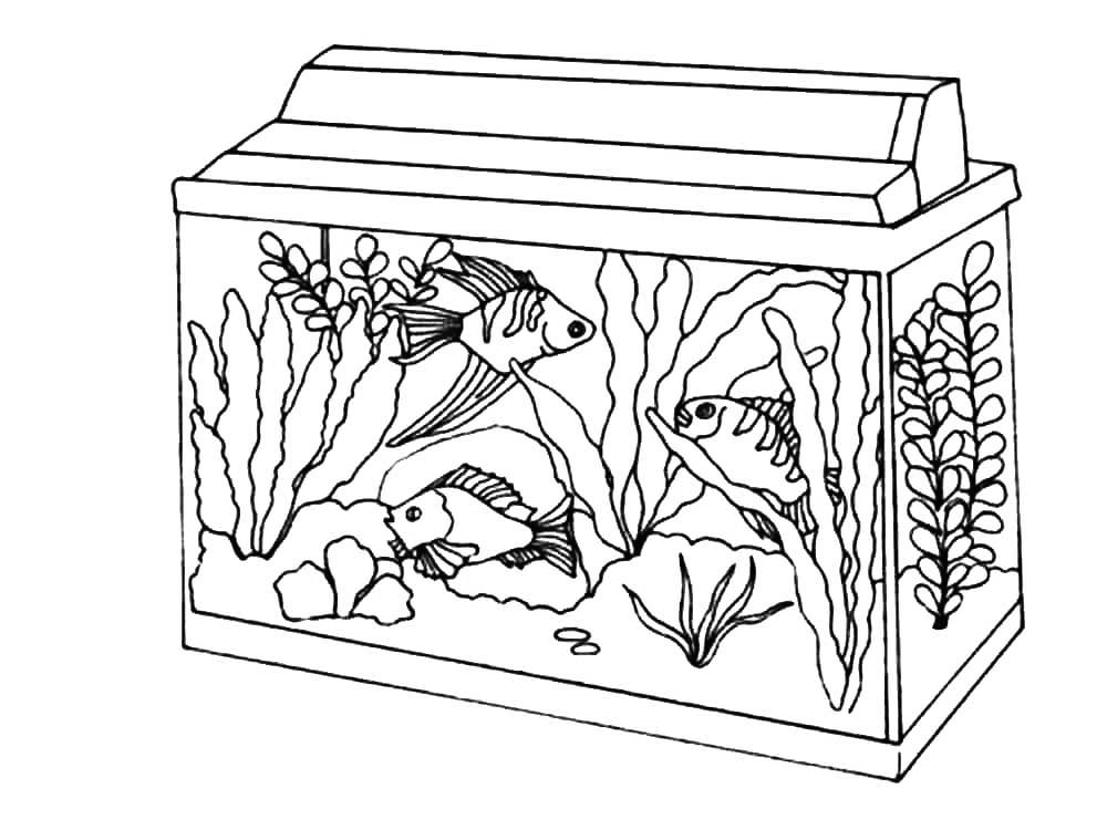 Aquarium Coloring Pages - Best Coloring Pages For Kids