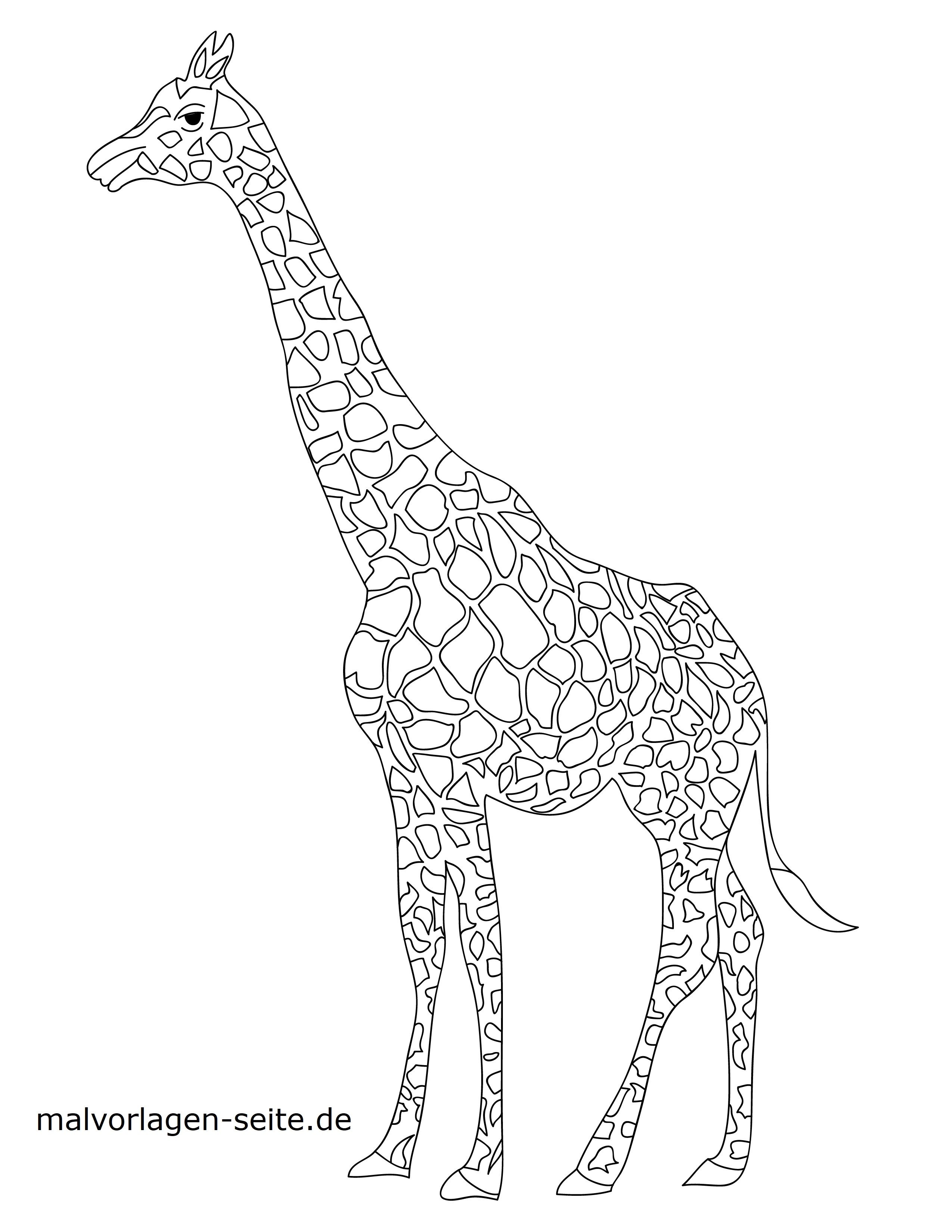 Malvorlagen Giraffe Ausdrucken