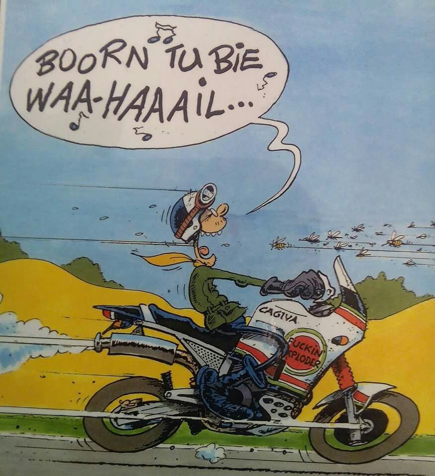 lustige motorrad bilder