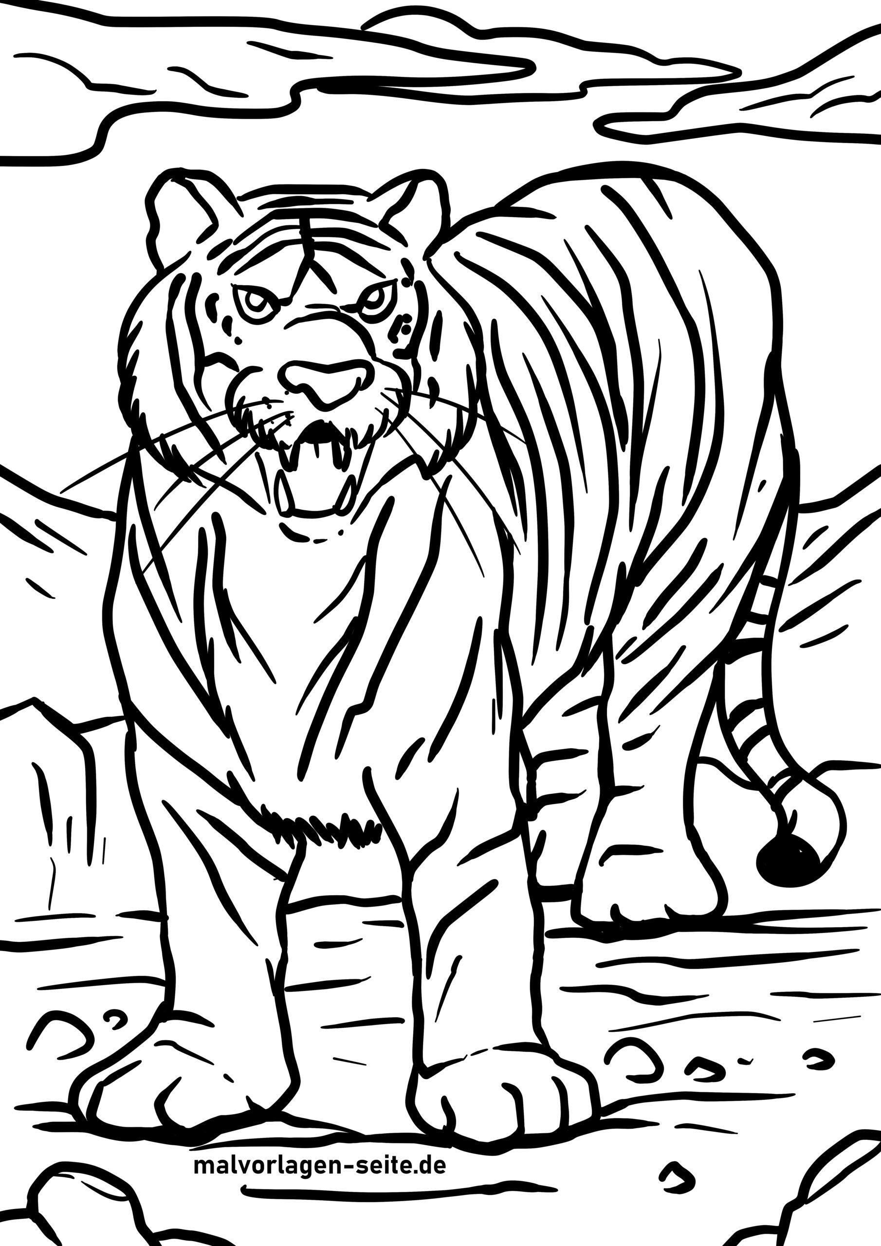 Ausmalbilder Tiere Tigers Tiger Coloring Pictures Of - vrogue.co