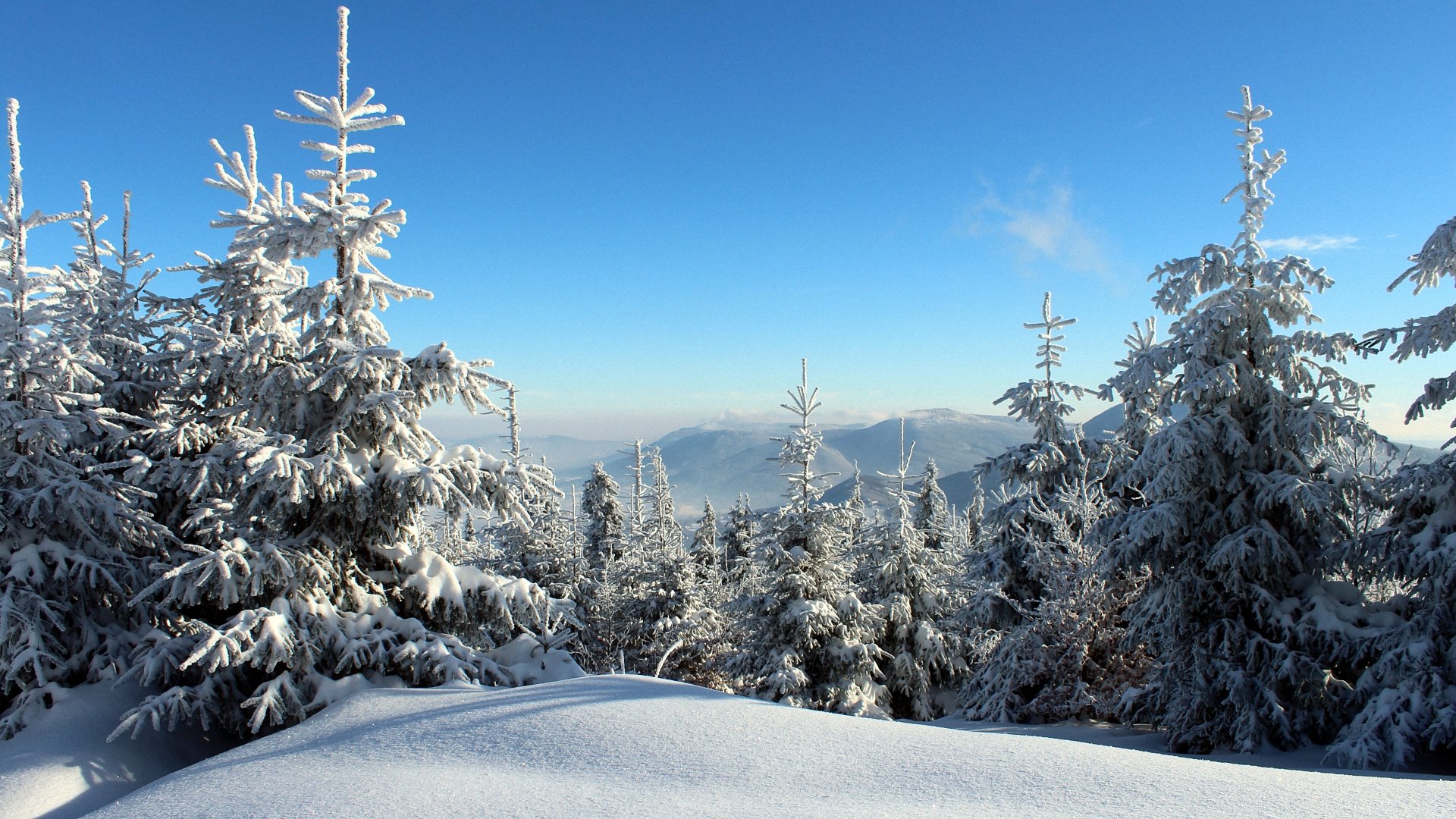 winterbilder kostenlos