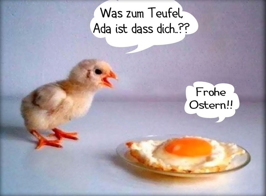 Frohe ostern lustige bilder | Bilder und Sprüche