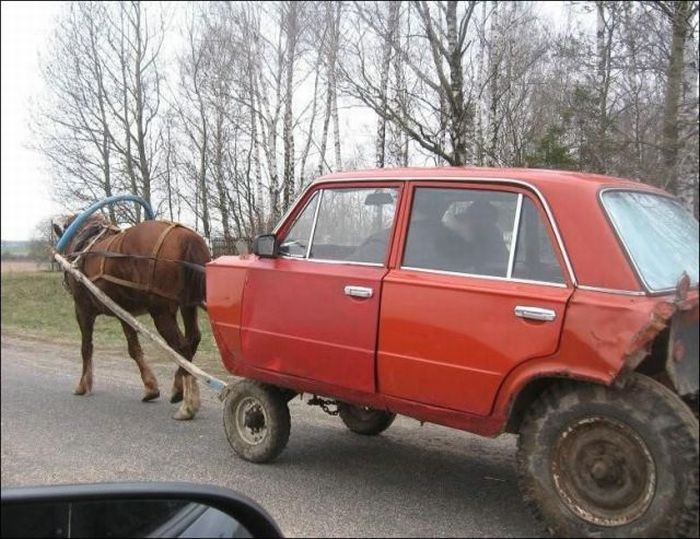 lustige bilder autos