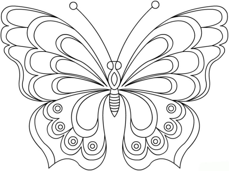 schmetterling malvorlage – Ausmalbilder für kinder | Butterfly coloring