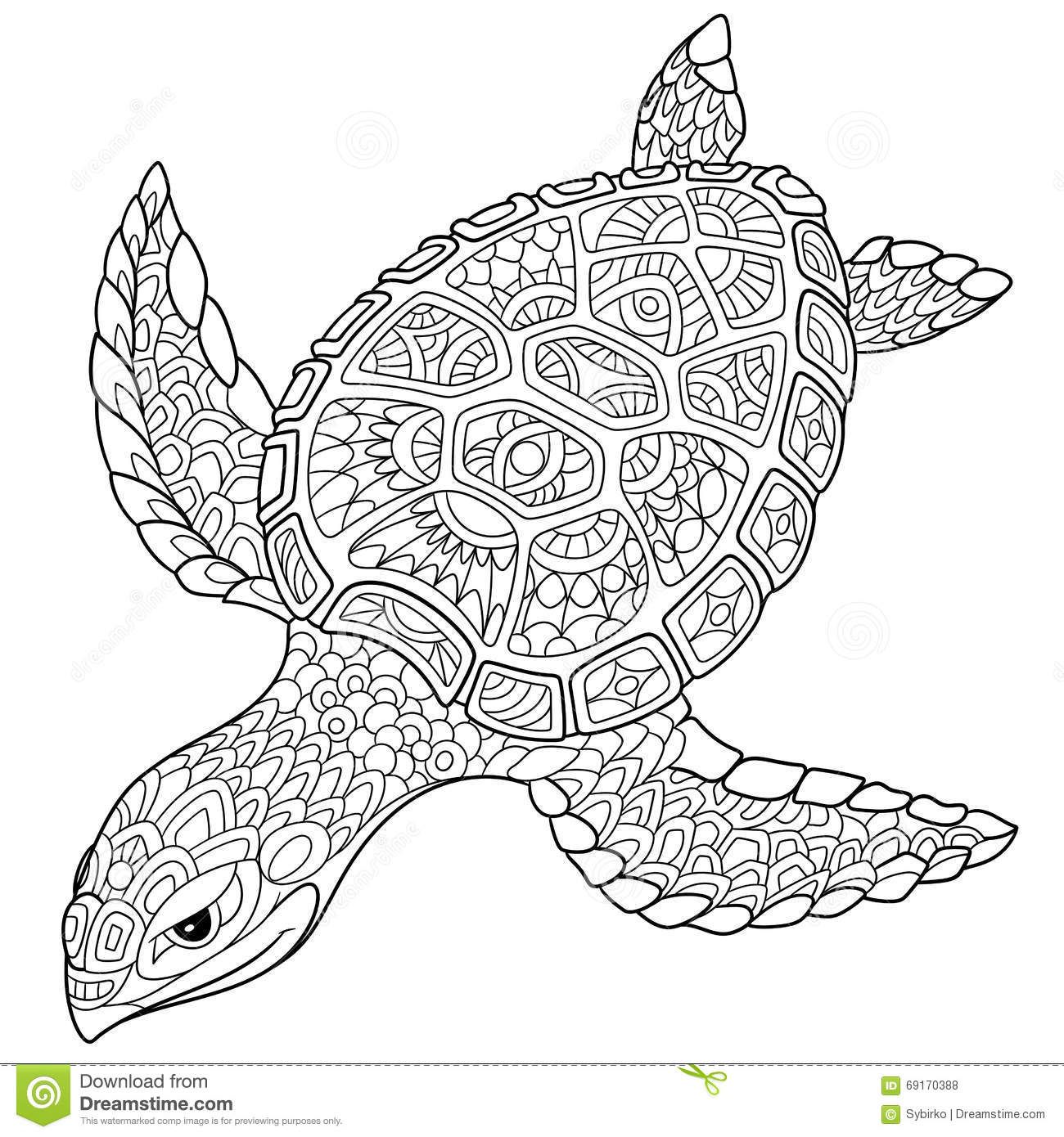 ausmalbilder delfin mandala