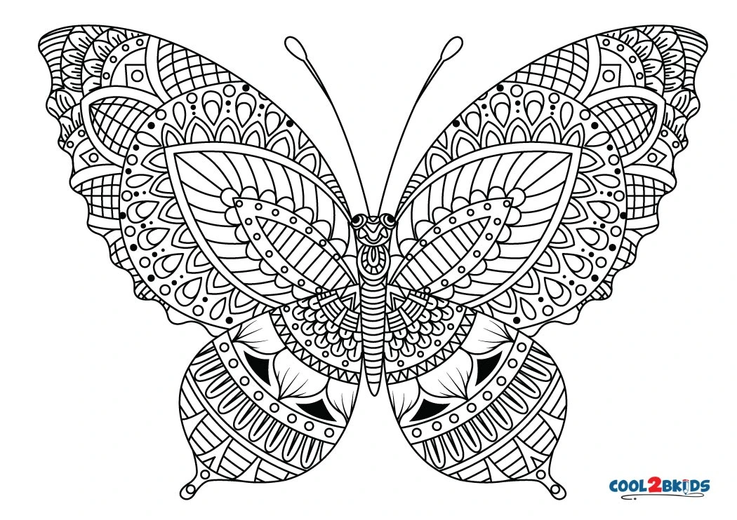 ausmalbild schmetterling mandala