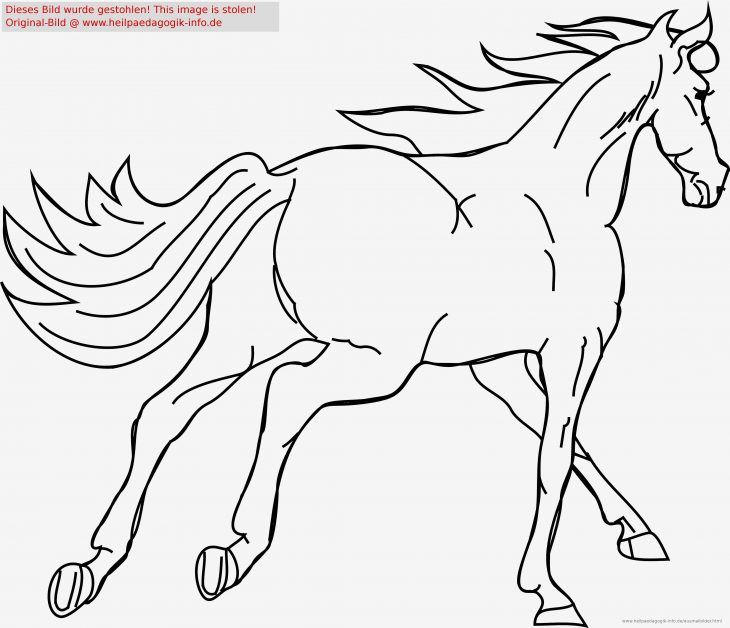 Pferdekopf Zum Ausmalen | Horse coloring pages, Horse coloring, Horse