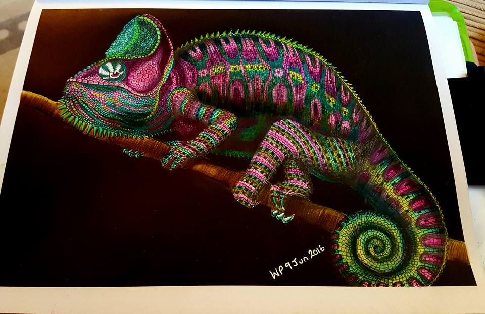 Chameleon 3 by Wendy P. | Colored pencil artwork, Pen art work