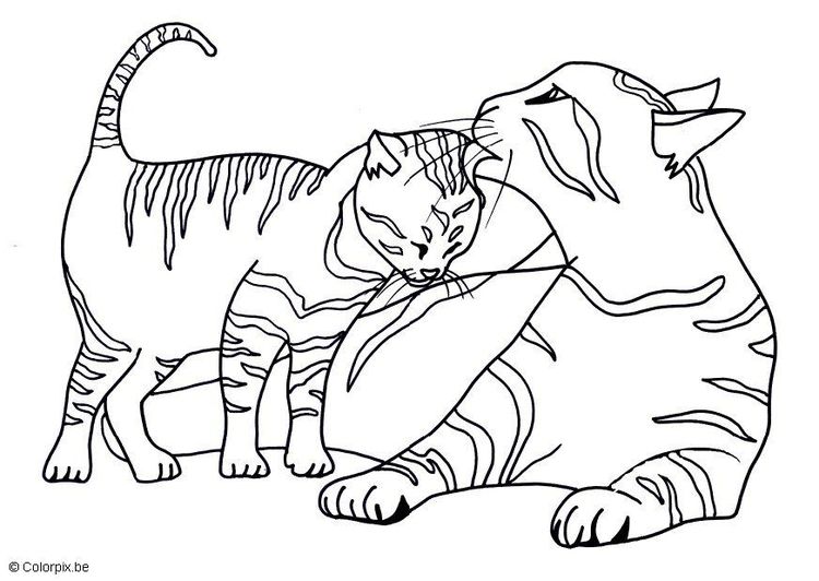 Malvorlage Katzen | coloring 3 | Pinterest | Malvorlage katze, Katzen