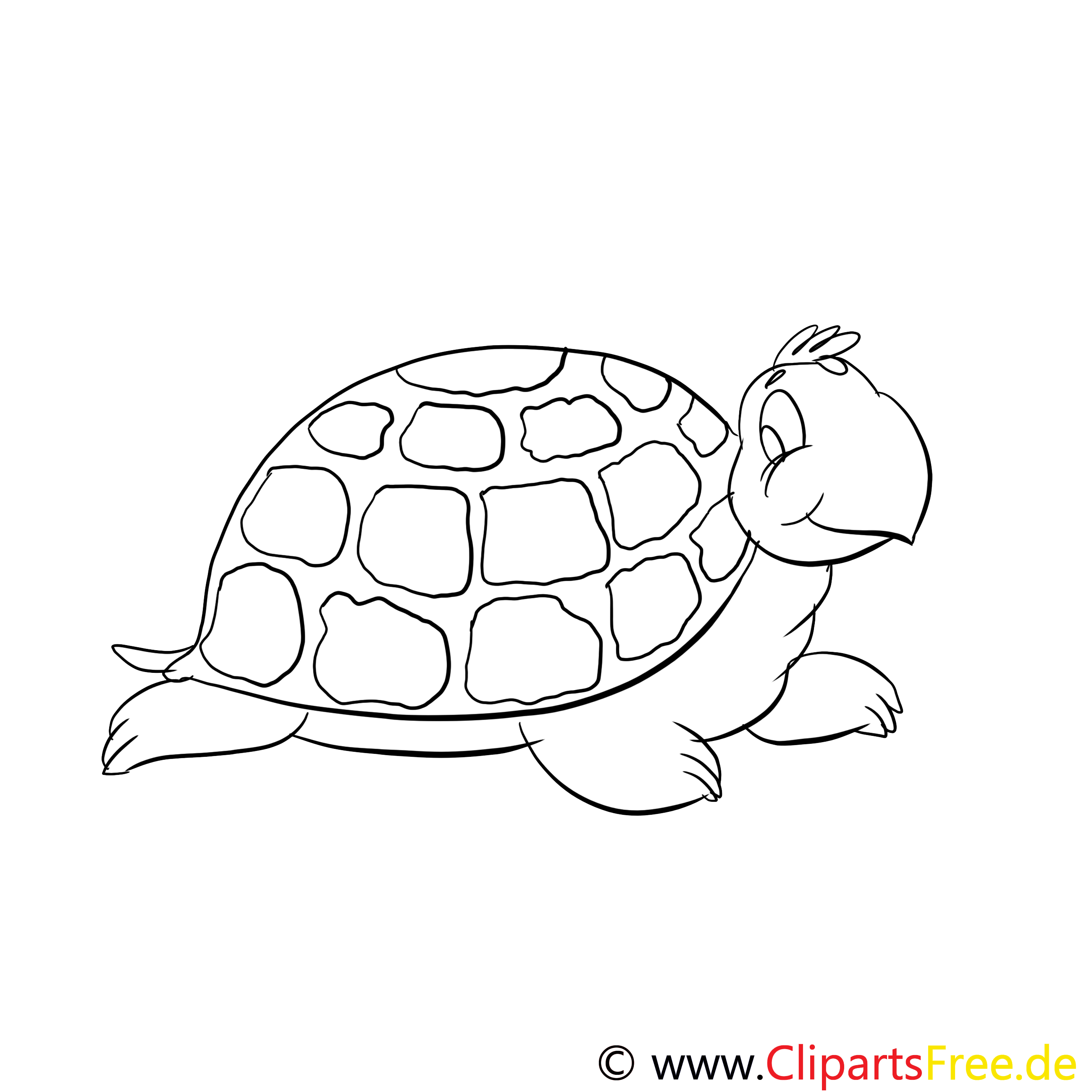 Coloriage tortue gratuit pour les enfants