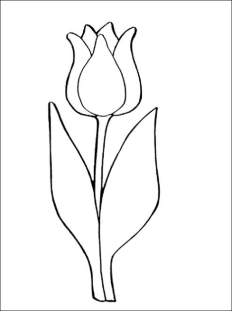 tulpe vorlage zum ausdrucken