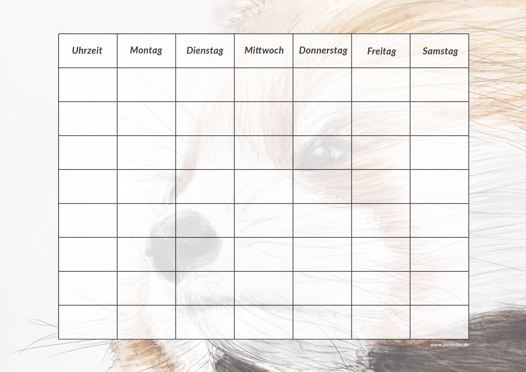Stundenplan kostenloser Download zum Ausdrucken | jananibe
