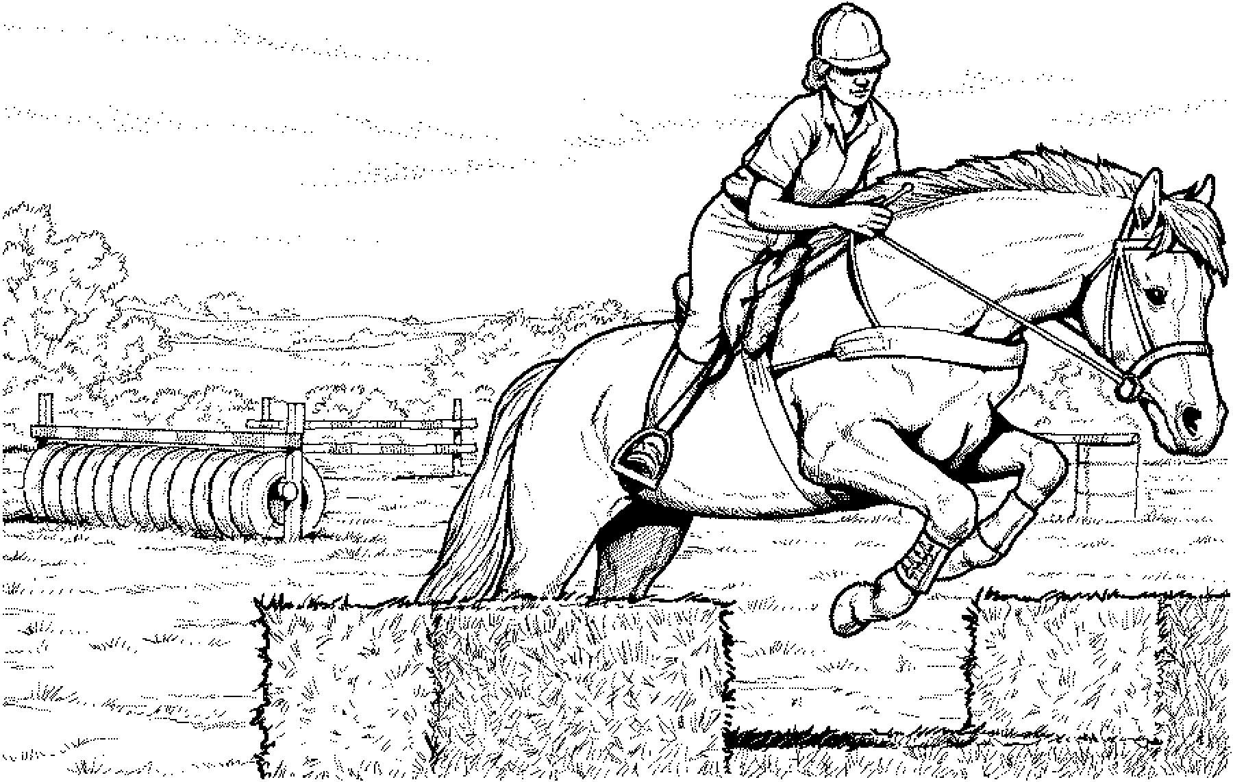 Horse Coloring Pages, Colouring Pages, Animal Outline, Horse Sketch