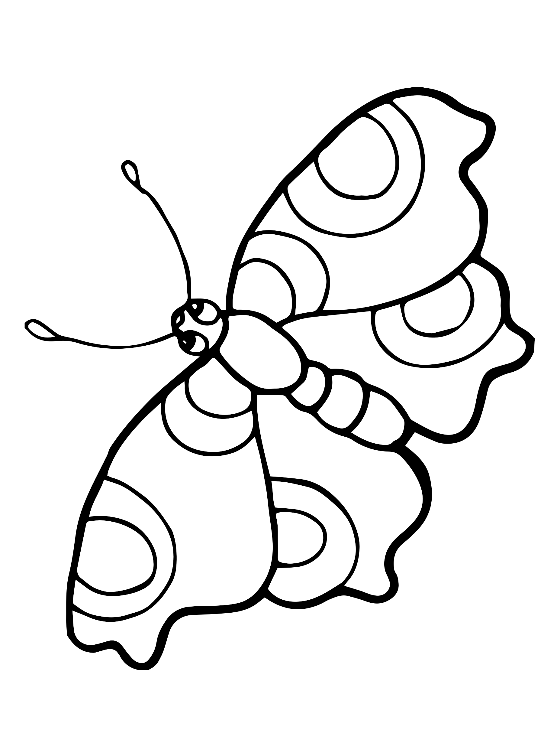 schmetterling ausmalbild pdf