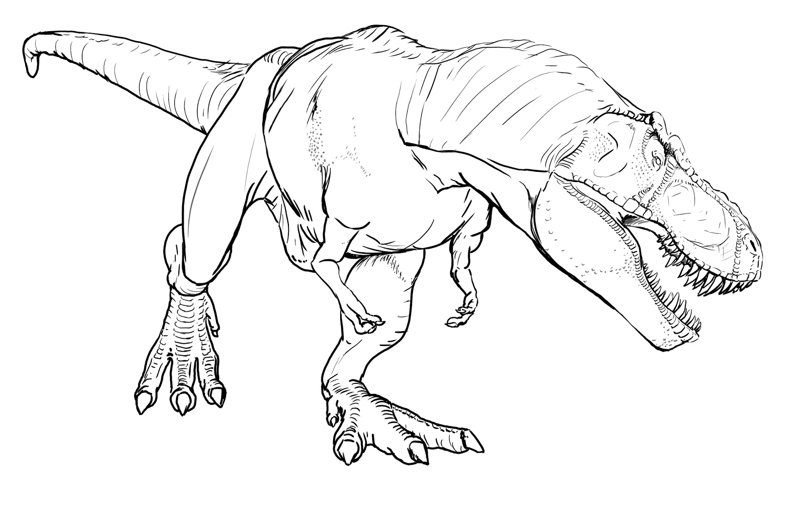 TRex Coloring Pages - Best Coloring Pages For Kids