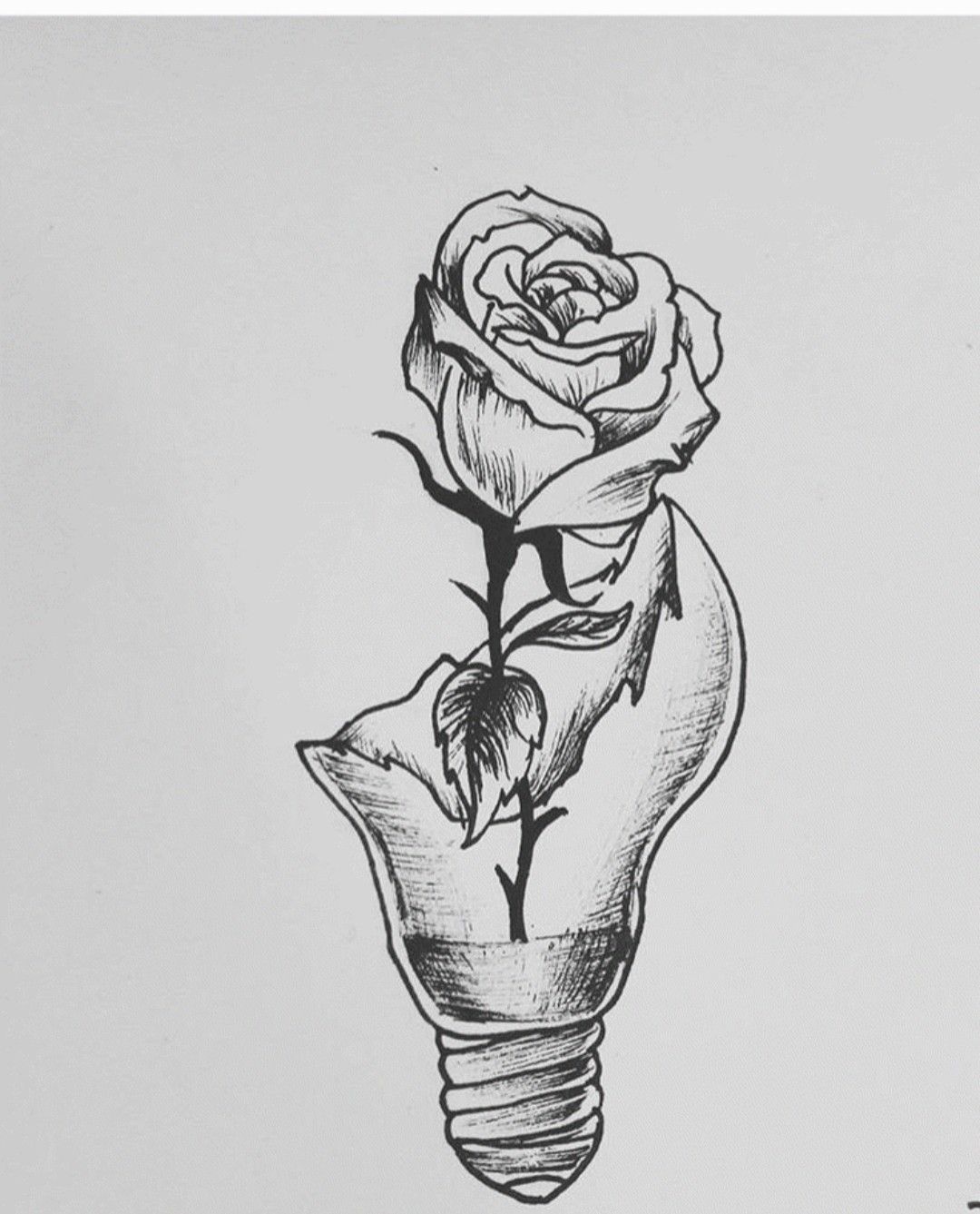 #Bulb rose drawing | Pencil art drawings, Space drawings, Drawings