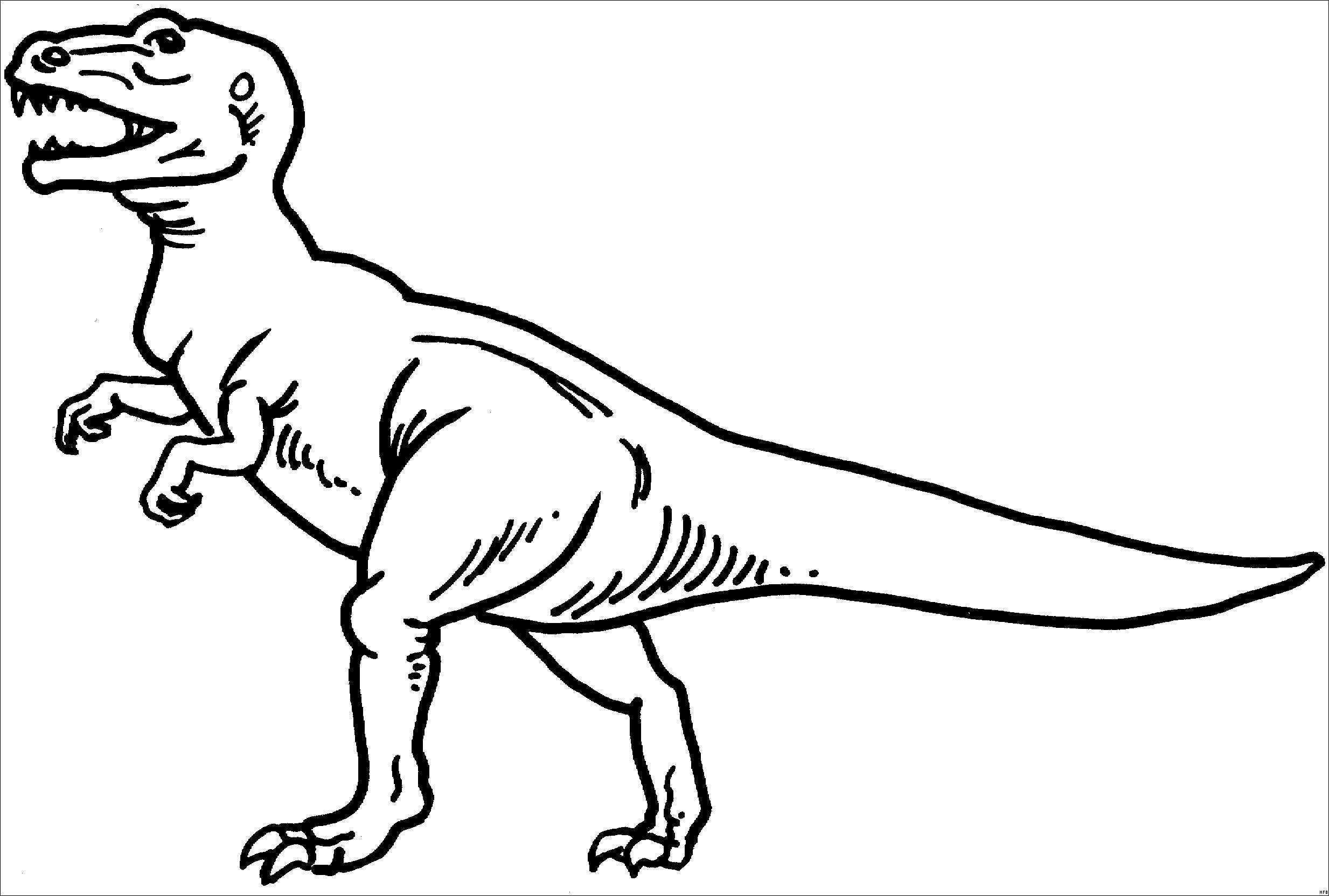 Malvorlagen T Rex | Dinossauros, Animais para colorir, Desenhos