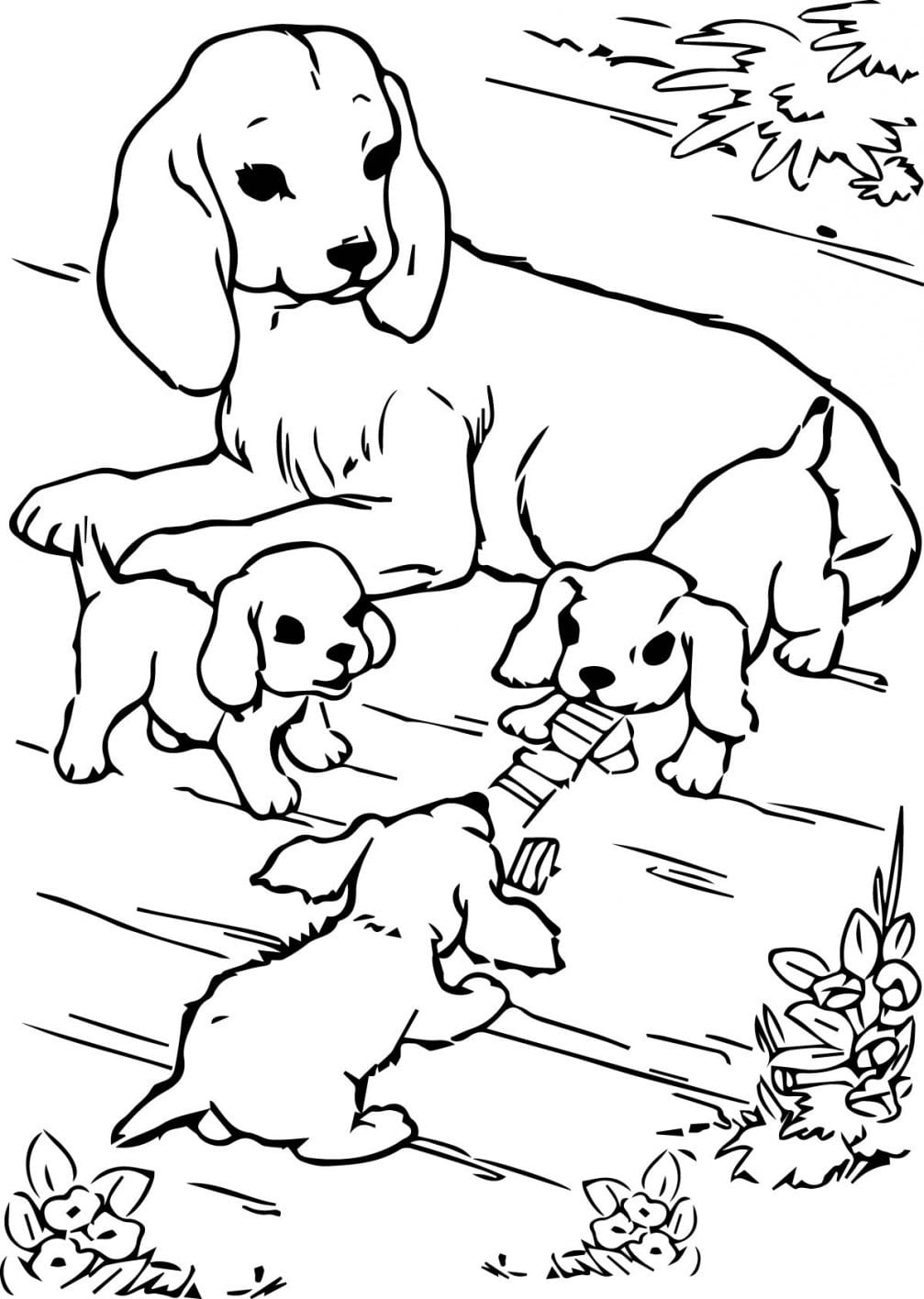 Ausmalbilder Hunde Dekoking Com 22 Dog Coloring Page - vrogue.co