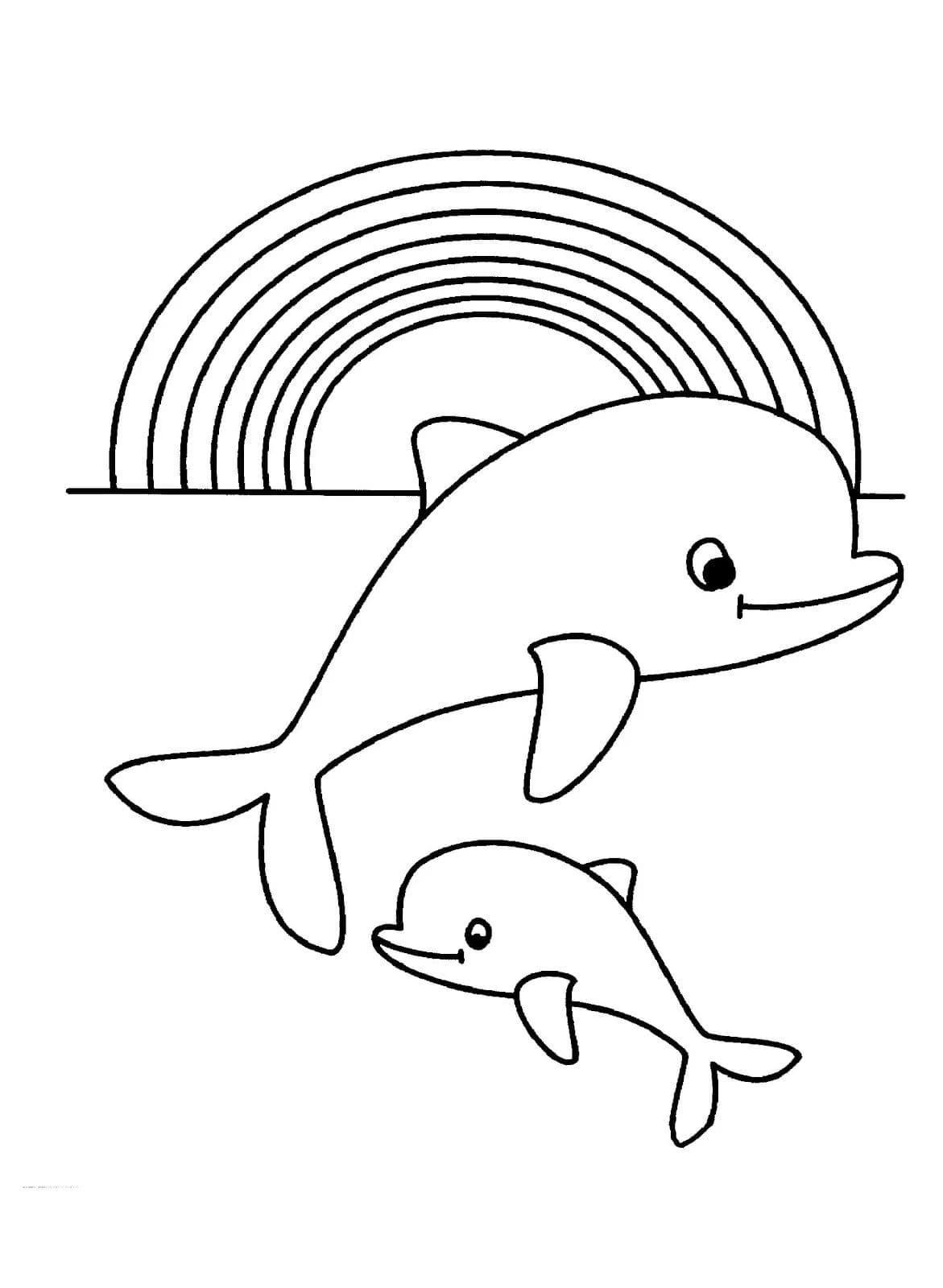 Malvorlage Delfin Zeichnen Vorlage / Delphin Muster Coloring Book