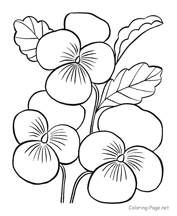 Flower Coloring Pages | Printable flower coloring pages, Flower