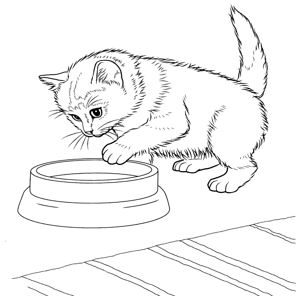 Kitten Coloring Pages Free Printable | Kittens coloring, Puppy coloring