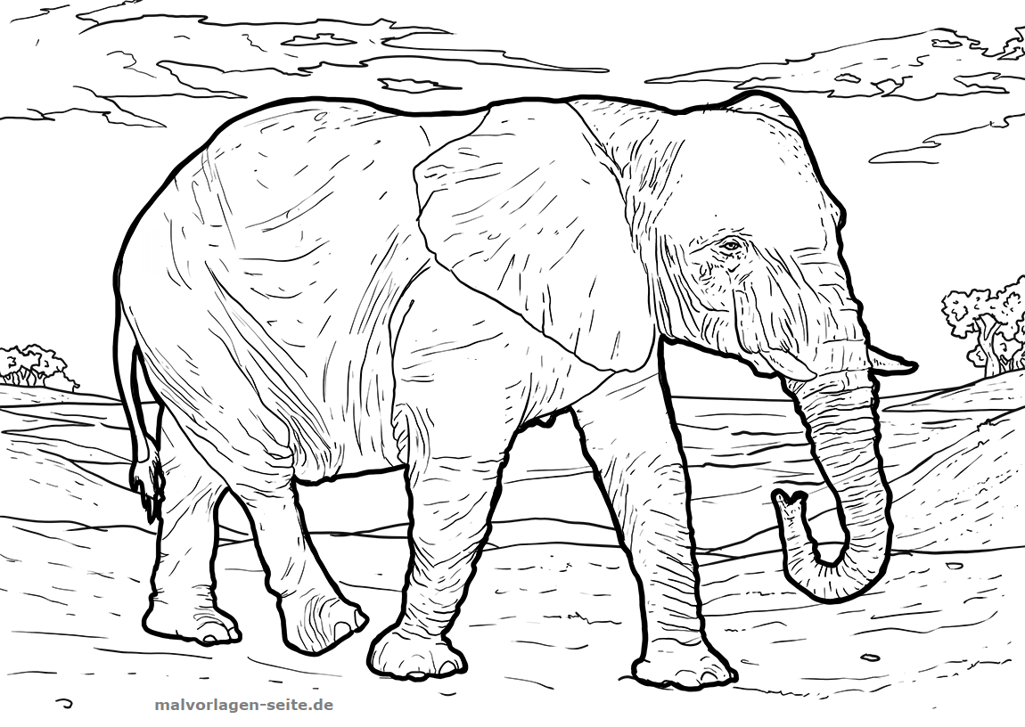 Ausmalbilder Elefant Tiere Zum Ausmalen Malvorlagen Elefanten | My XXX