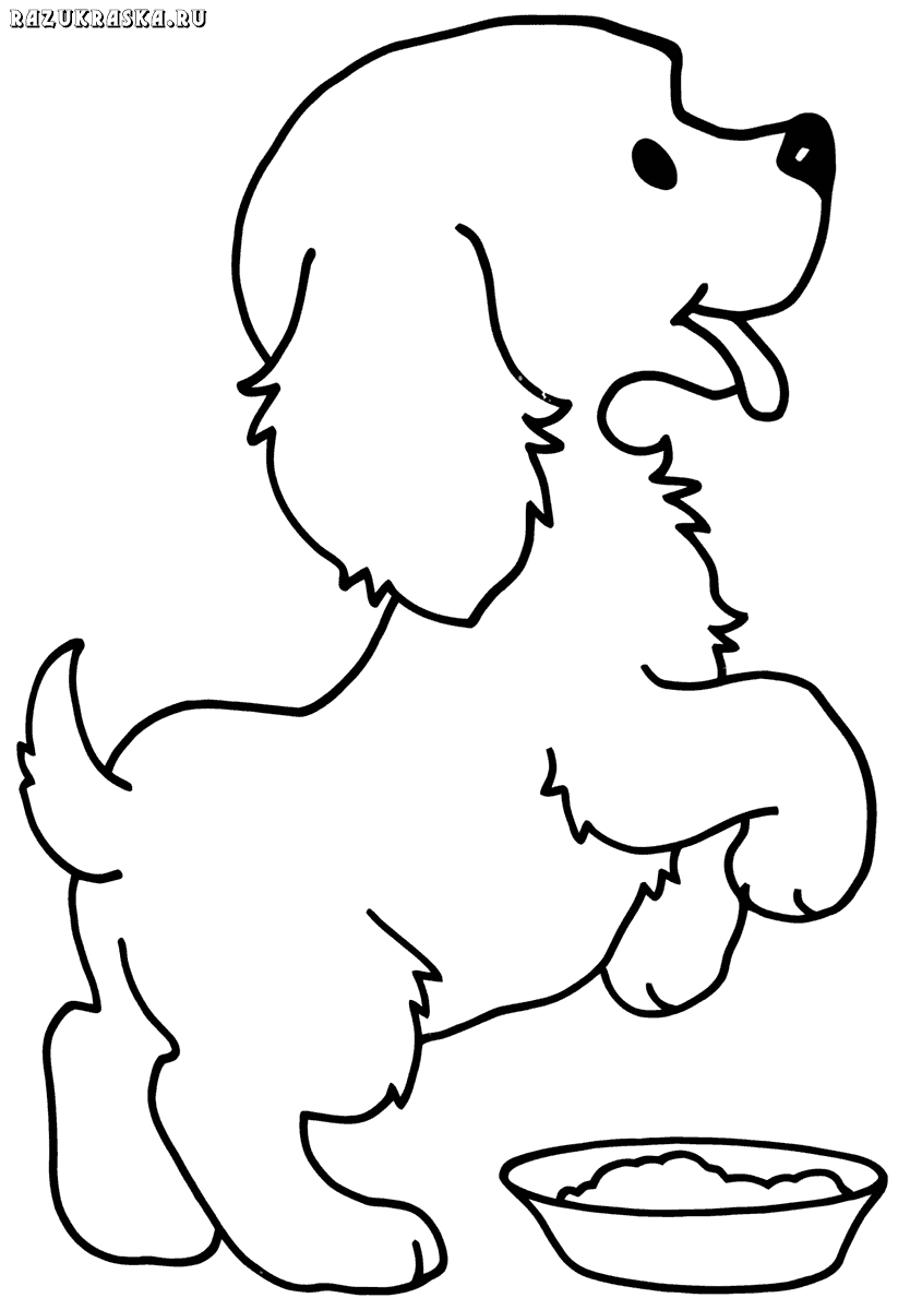 ausmalbilder-hunde-dekoking-com-1 Dog Coloring Book, Puppy Coloring