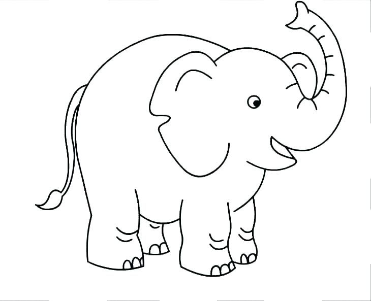 elefant ausmalbild einfach