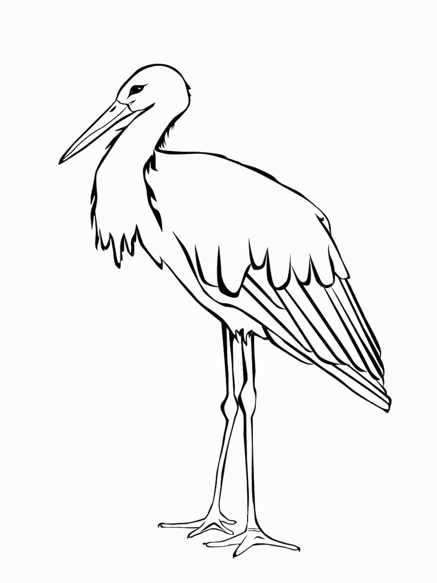 Storks Coloring Pages