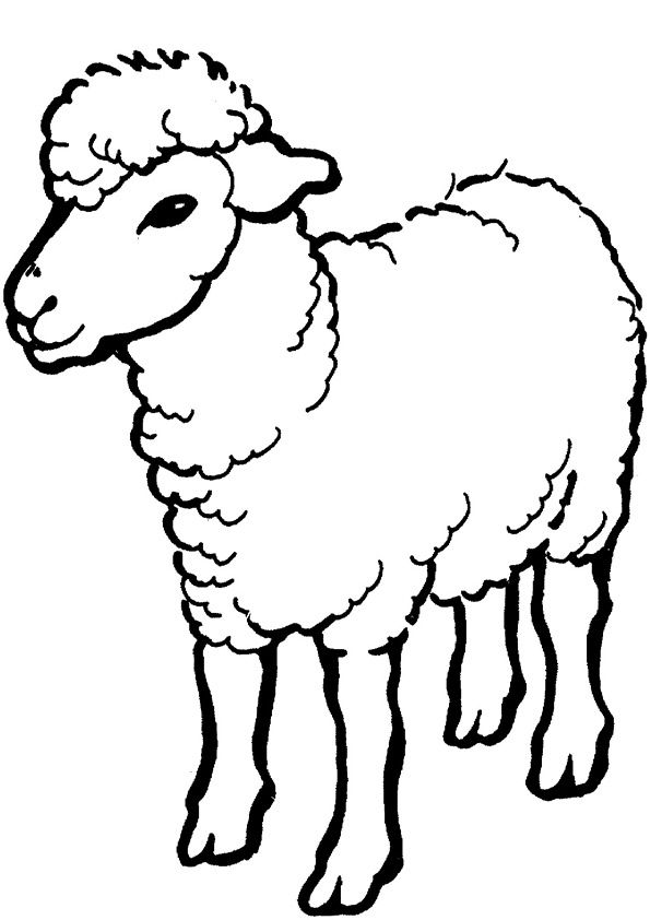 Ausmalbilder Schaf 27 | Ausmalbilder Tiere | Farm animal coloring pages