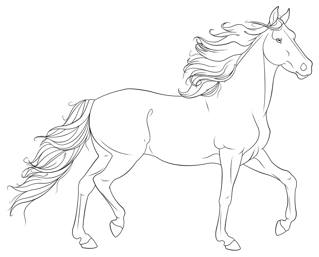 Horse Coloring Pages ⋆ coloring.rocks! Horse Art Drawing, Horse Sketch