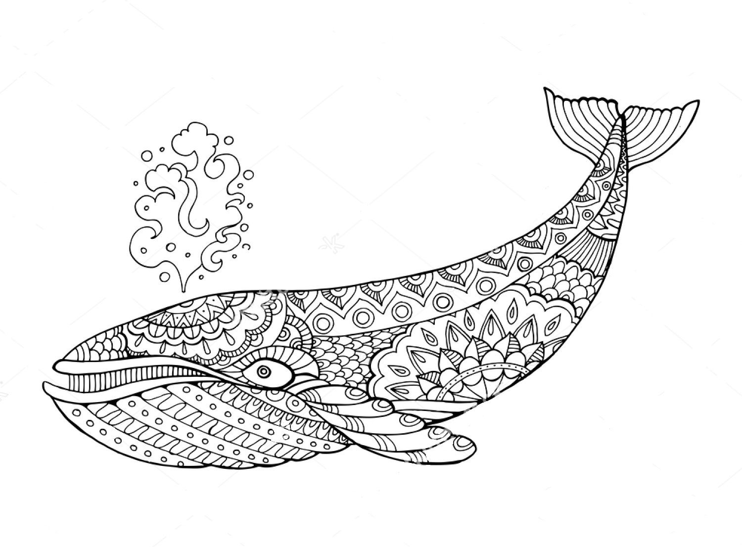 Whale zentangle coloring page | Animal coloring books, Coloring books