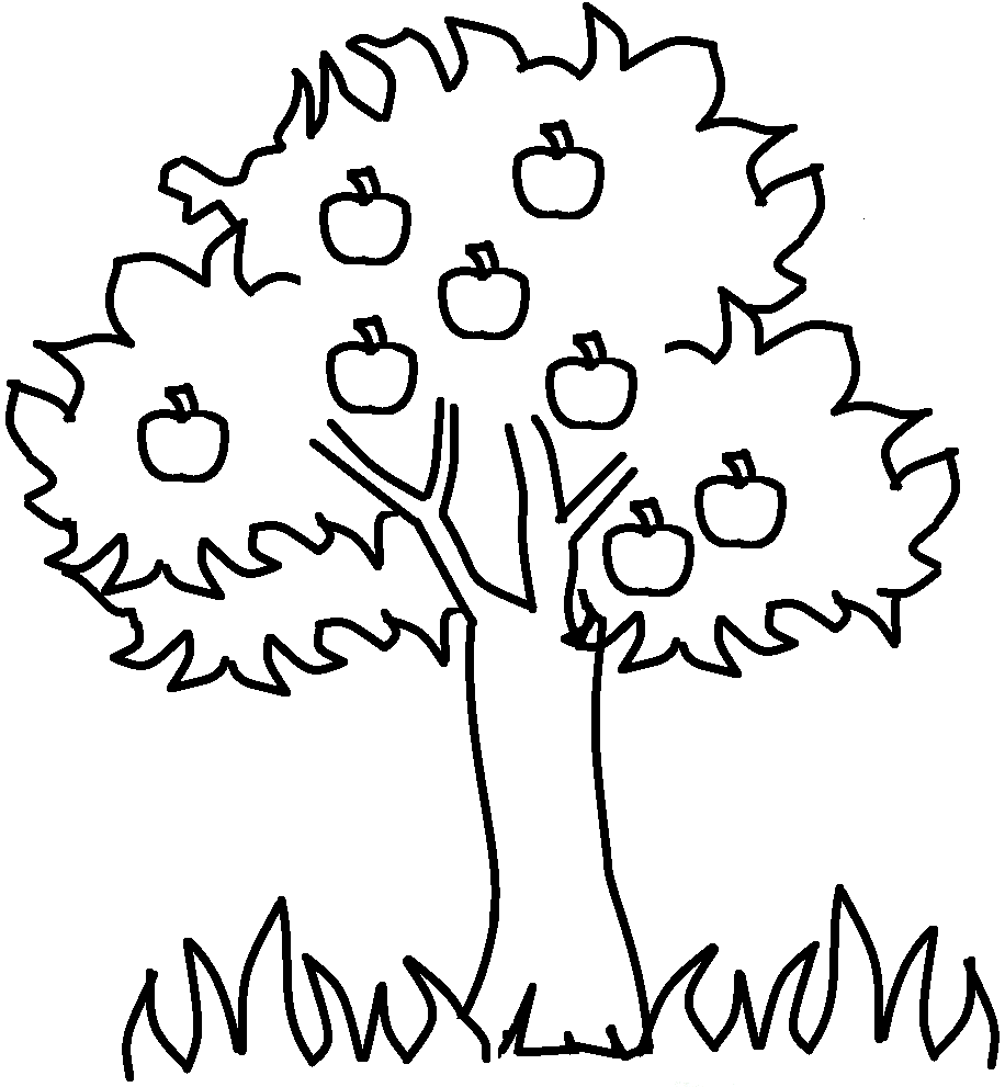 apfelbaum zum ausmalen