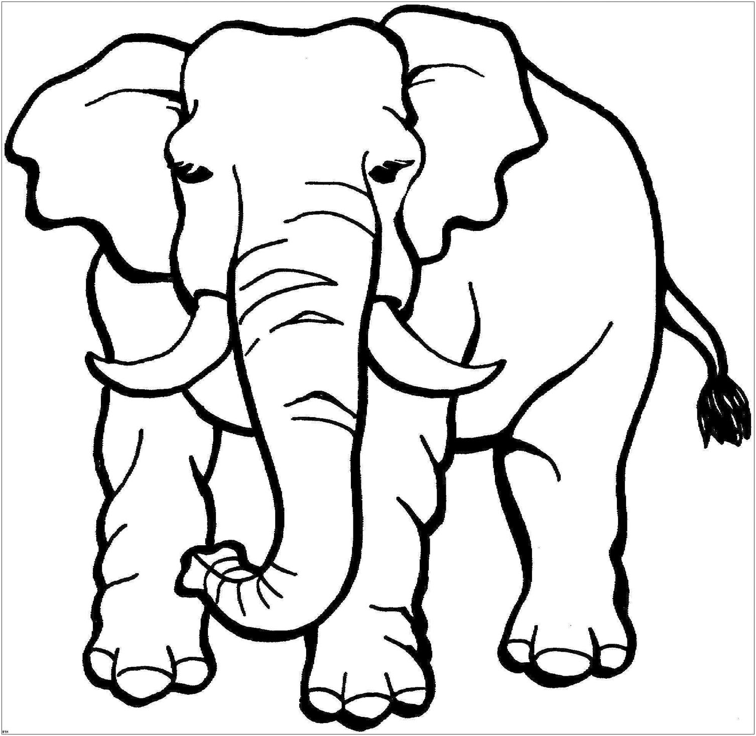 Elephant coloring pages to print and color - Elephants Kids Coloring Pages