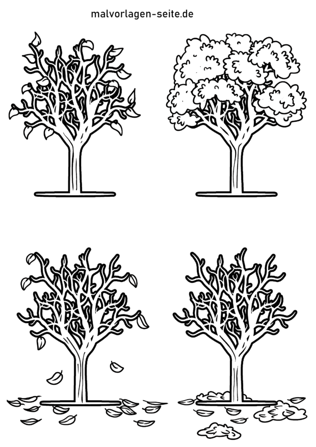 Malvorlage Baum 4 Jahreszeiten | Bäume | Ausmalbild kostenlos herunterladen