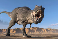 tyrannosaurus rex bild