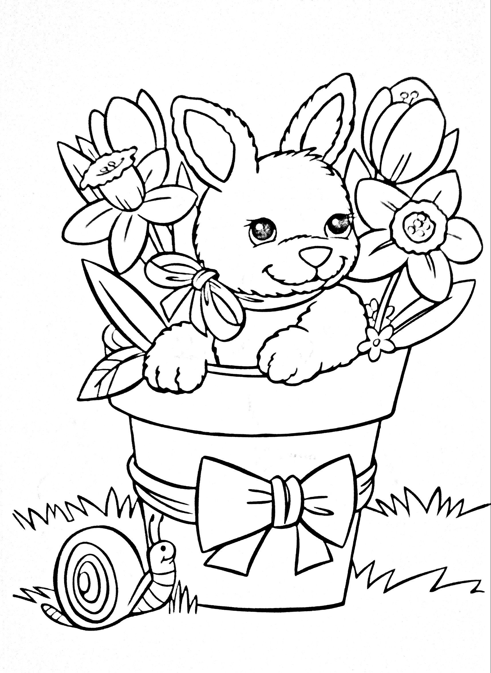 Pin by OrionG7 on Coloring | Bunny coloring pages, Animal coloring