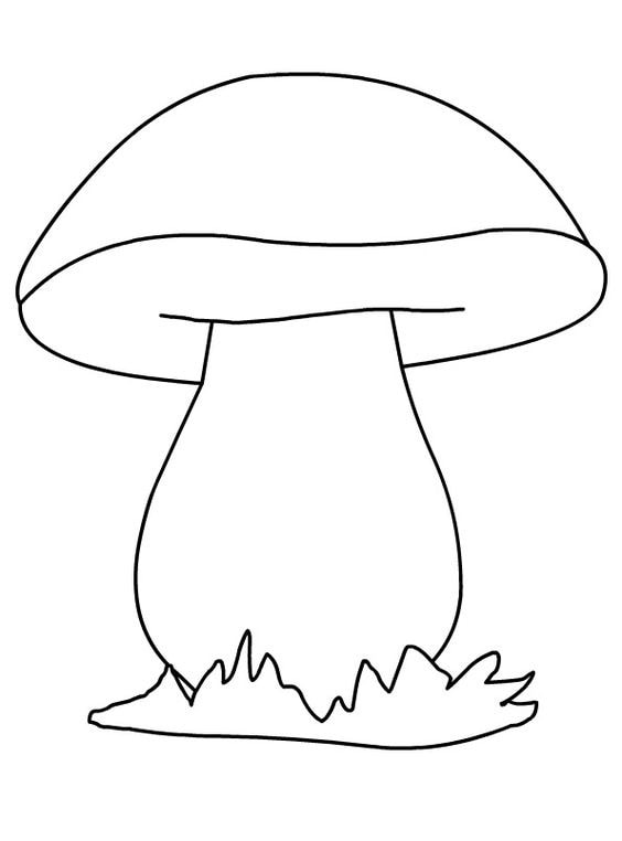 ausmalbilder pilz